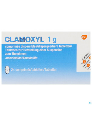 Clamoxyl 1000 "tabs" comp 24x1000mg