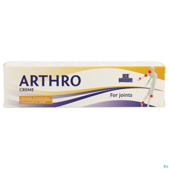 Ice power arthro creme    tube 60ml