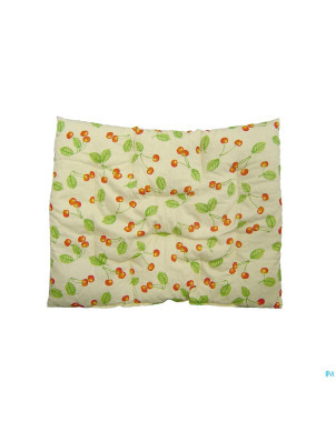 Coussin noyaux cerises axamed 40x50cm