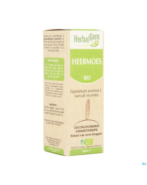 Herbalgem prele    macerat 50ml