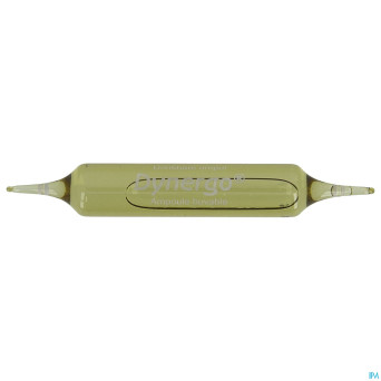 Dynergo amp buvable 18x10ml