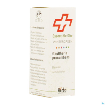 Gaultherie procumbens flle herba helv.hle ess 10ml