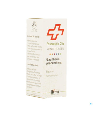 Gaultherie procumbens flle herba helv.hle ess 10ml