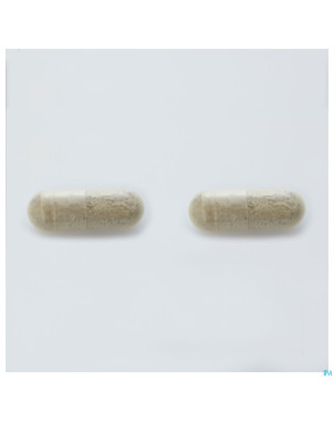 Arkogelules bacopa vegetal    45