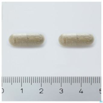 Arkogelules bacopa vegetal    45