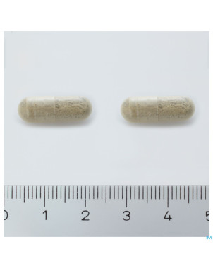 Arkogelules bacopa vegetal    45