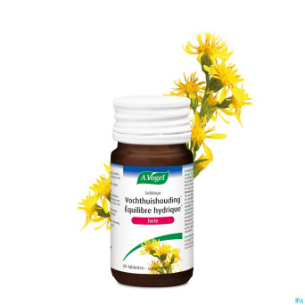 A.vogel solidago forte pot 60x400mg