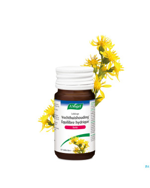 A.vogel solidago forte pot 60x400mg