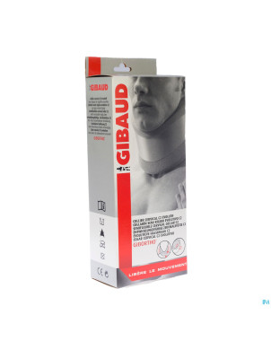 Gibaud collier thermique    m 4340