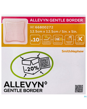 Allevyn gentle border ster 12,5x12,5cm 10 66800272