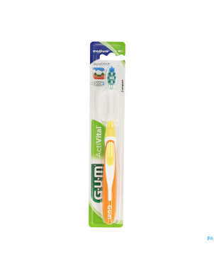 Gum activital comp brosse medium    583