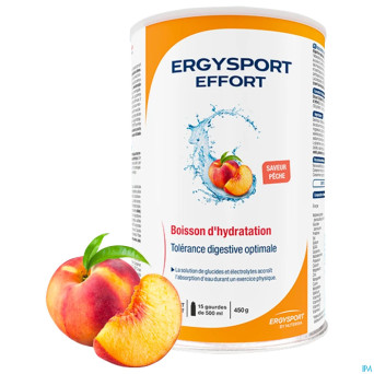 Ergysport effort peche boisson pdr pot 450g