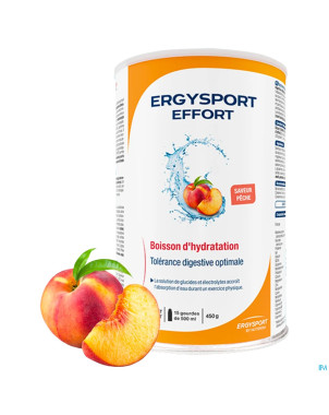 Ergysport effort peche boisson pdr pot 450g