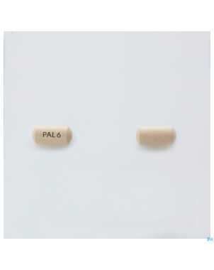 Invega tabl retard 56 x 6 mg