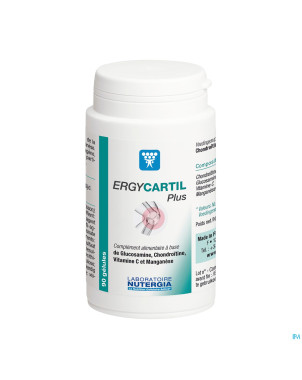 Ergycartil plus    gel 90