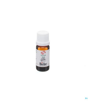 Curcuma longa herba helv.    hle ess  10ml