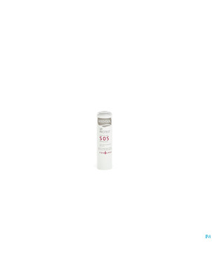 Bodysol stick levres reparateur sos nf 4,8g