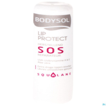 Bodysol stick levres reparateur sos nf 4,8g