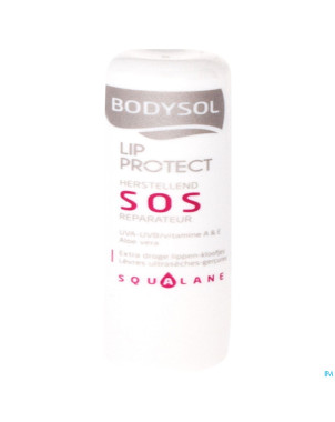 Bodysol stick levres reparateur sos nf 4,8g