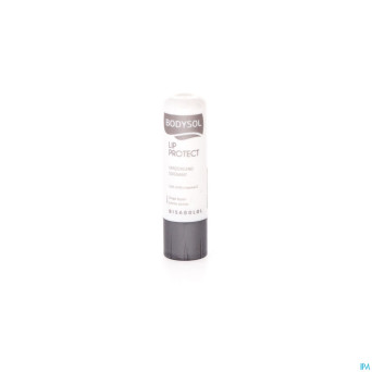 Bodysol stick levres soignant nf 4,8g