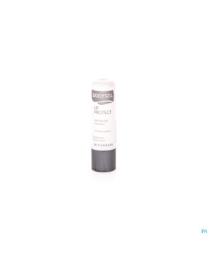 Bodysol stick levres soignant nf 4,8g