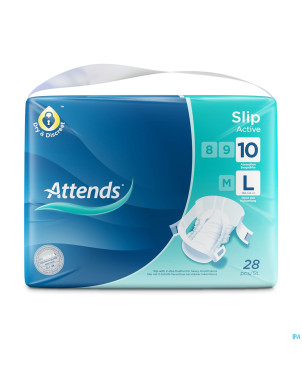 Attends slip 10 large regular  1x28
