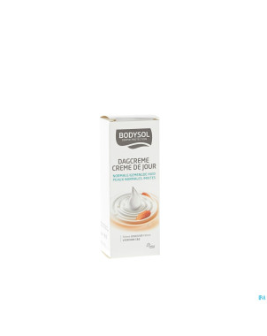 Bodysol creme jour pn-p mixte nf 50ml