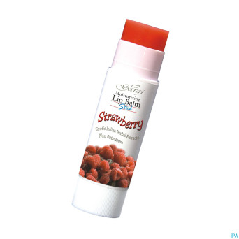 Gargi baume levres hydra ayurvedique fraise   4,5g