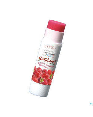 Gargi baume levres hydra ayurvedique framboise4,5g