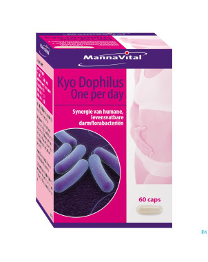 Mannavital kyodophilus caps 60
