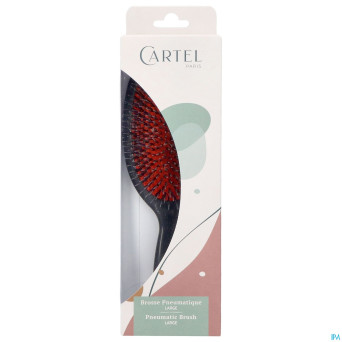 Cartel brosse pneumatique nylon sanglier l