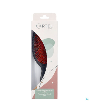 Cartel brosse pneumatique nylon sanglier l