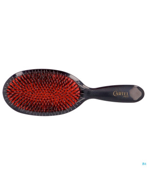 Cartel brosse pneumatique nylon sanglier l