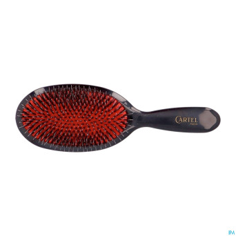 Cartel brosse pneumatique nylon sanglier l