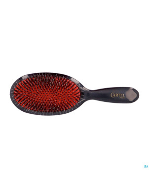 Cartel brosse pneumatique nylon sanglier l