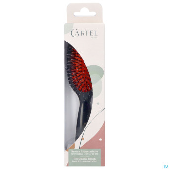 Cartel brosse pneumatique nylon sanglier sac
