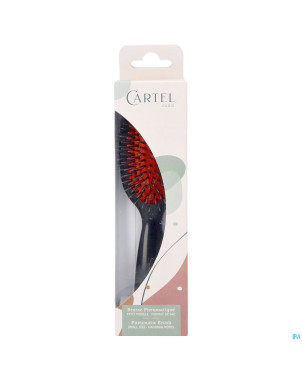 Cartel brosse pneumatique nylon sanglier sac