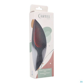 Cartel brosse pneumatique 100% sanglier l