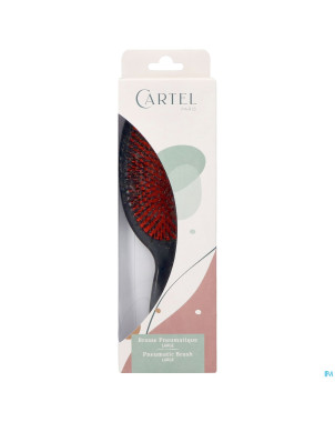 Cartel brosse pneumatique 100% sanglier l