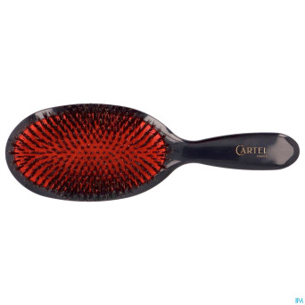 Cartel brosse pneumatique 100% sanglier l