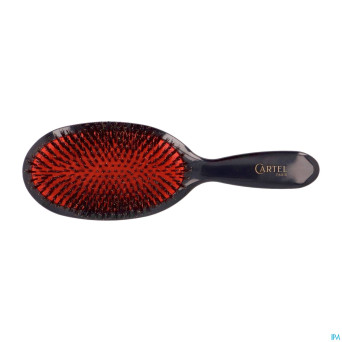 Cartel brosse pneumatique 100% sanglier l