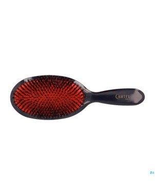 Cartel brosse pneumatique 100% sanglier l