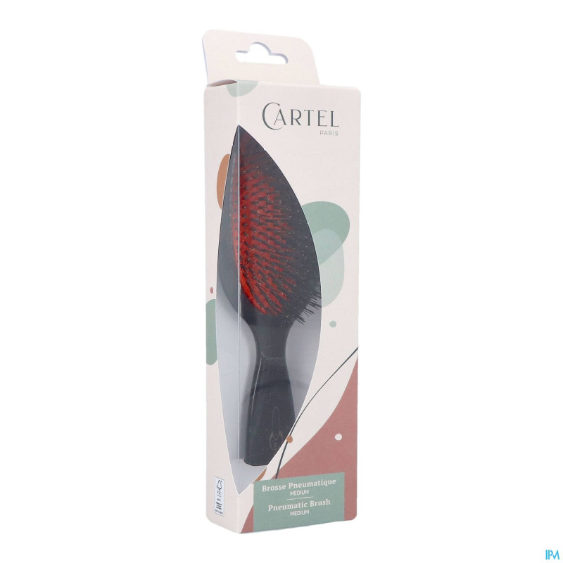 Cartel brosse pneumatique 100% sanglier m