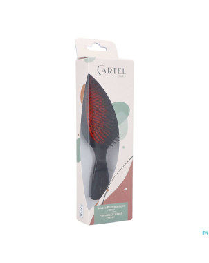 Cartel brosse pneumatique 100% sanglier m