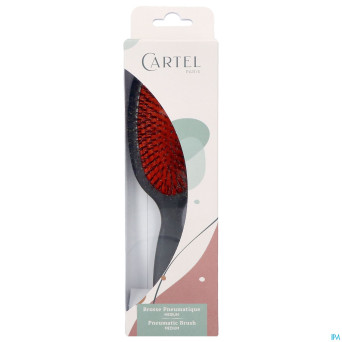 Cartel brosse pneumatique 100% sanglier m