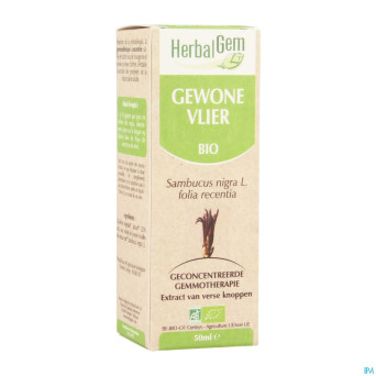 Herbalgem sureau    macerat 50ml