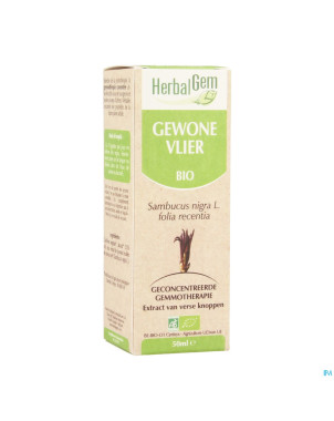 Herbalgem sureau    macerat 50ml