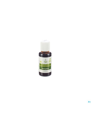 Complexe n8  gem'pollen bio    gutt 30ml