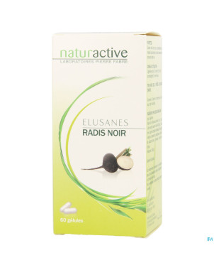 Elusanes radis noir    pot gel 60