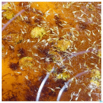 Arnica huile vegetale bio spray 50ml